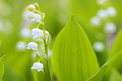 《星刃》体验版提前上手视频 战斗、探索、营地一览